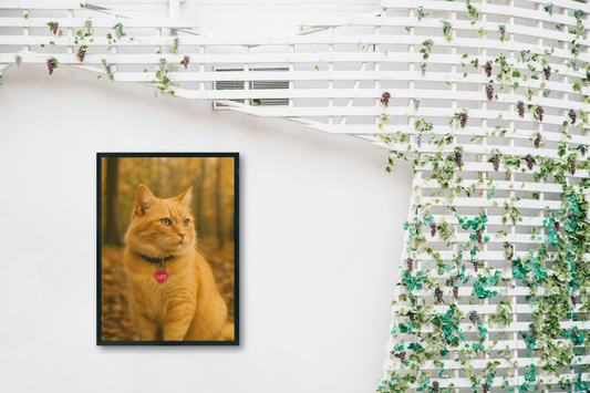 Framed Print – 20×25cm