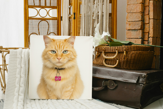 Canvas Print – 30×30cm
